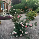 Desiree - D'hote Bed & Breakfast