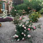 Desiree - D'hote Agde