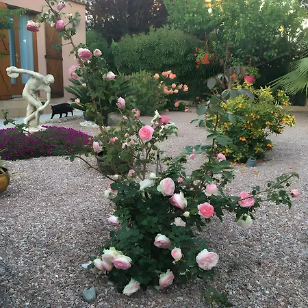 Desiree - D'hote Frühstückspension